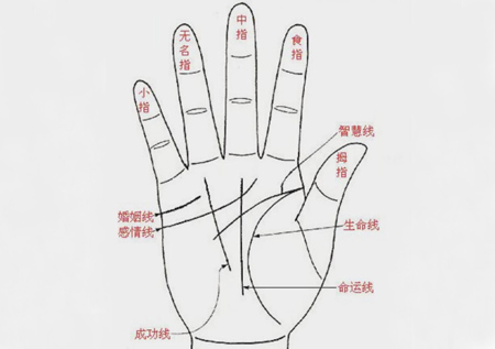 手相图解手纹线各代表什么