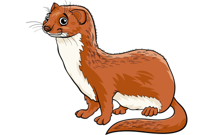 白天看见黄鼠狼有什么预兆